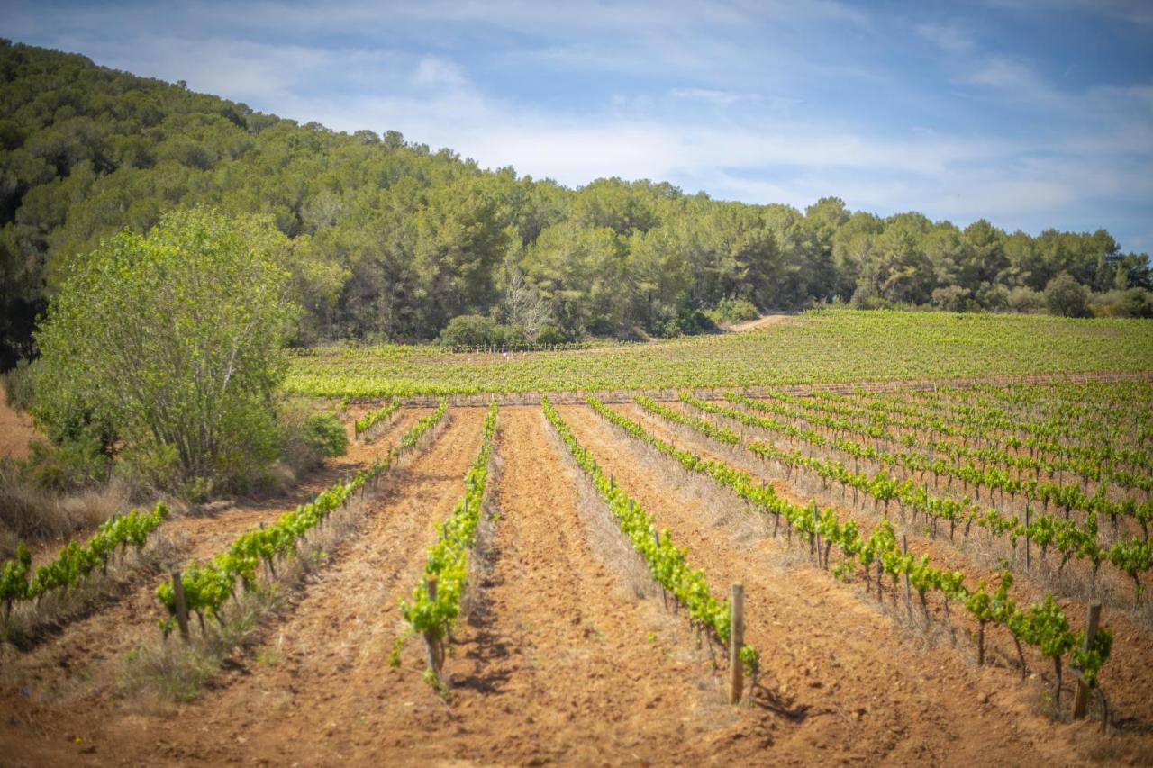 Catalunya Casas Tranquil Nature "Feel" , Yet Only 4 Min To Beach! Calafell Eksteriør billede